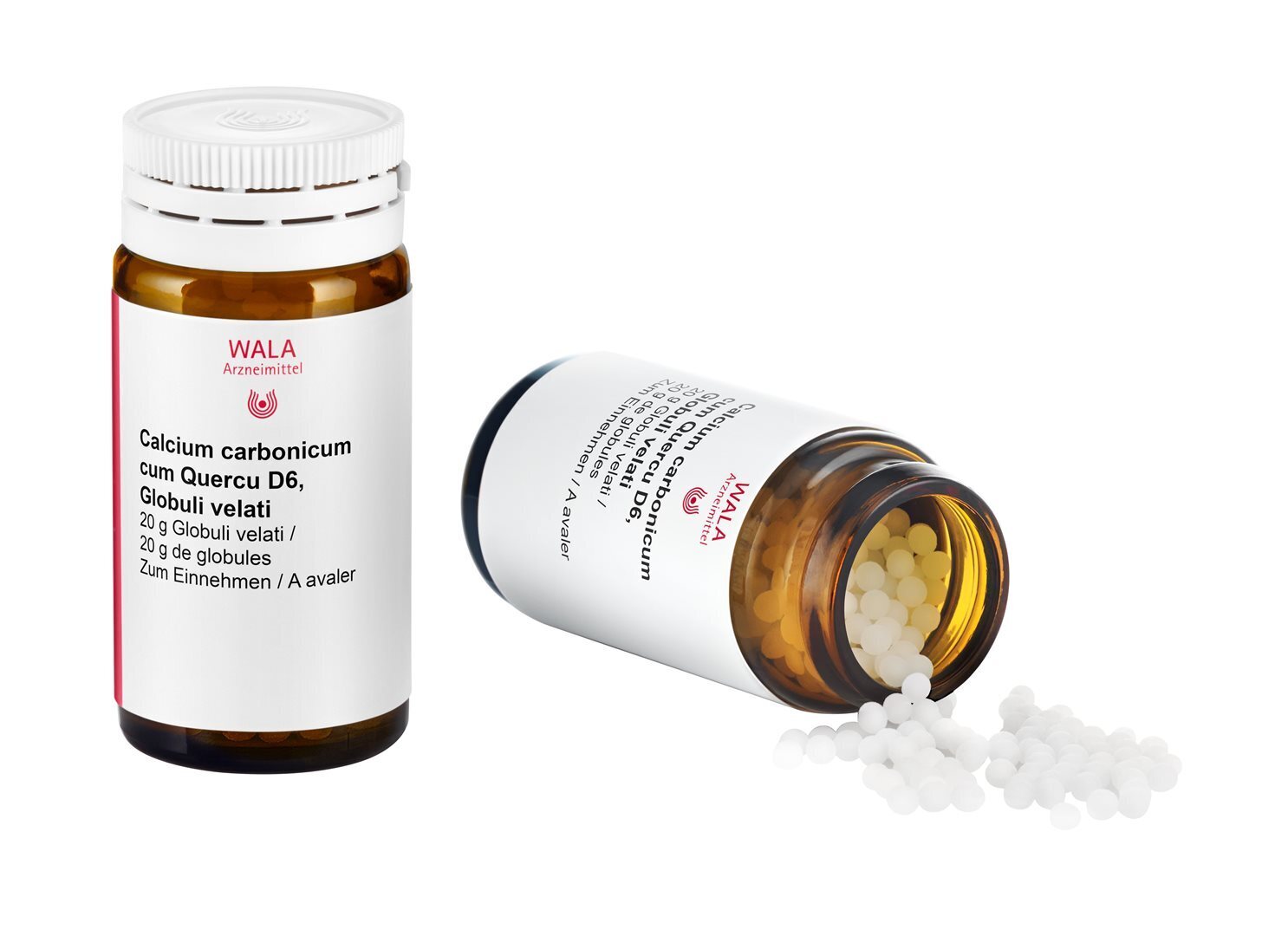 Foto Wala Calcium carbonicum cum Quercu Globuli D 6 Flasche 20 g